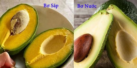 Cách phân biệt bơ nước và bơ sáp .
